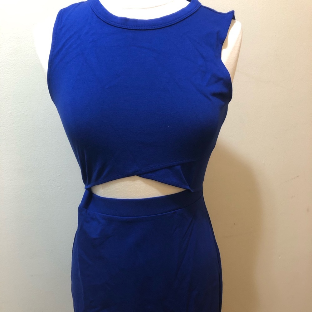 Express bodycon dress